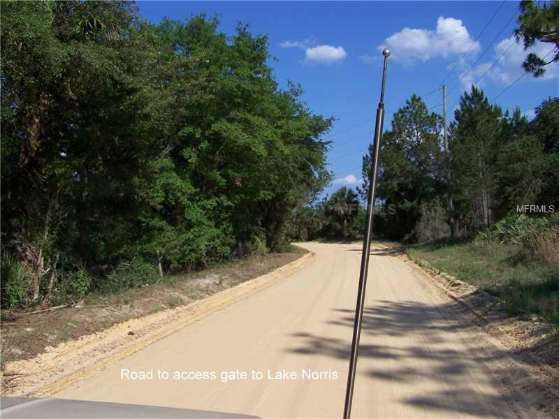 SAFFRON AVENUE, Eustis, FL 32736