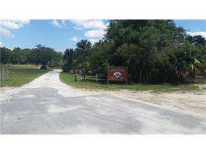 Ilex, Eustis, FL 32736