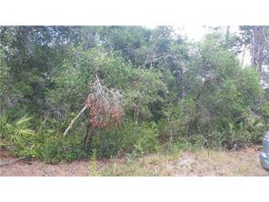 Ilex, Eustis, FL 32736