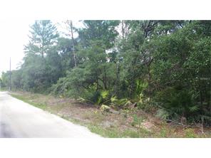 Ilex, Eustis, FL 32736