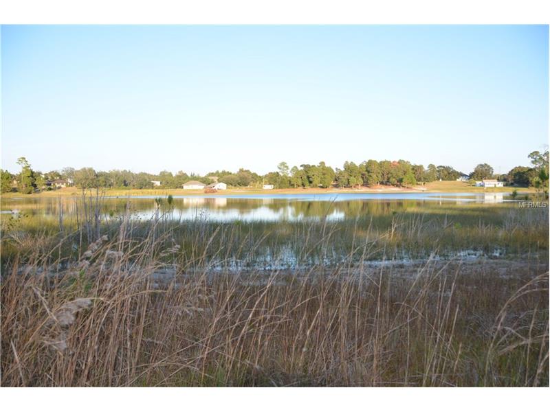 LAKE DIANA DRIVE, Deltona, FL 32738