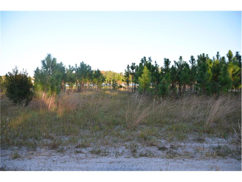 LAKE DIANA DRIVE, Deltona, FL 32738