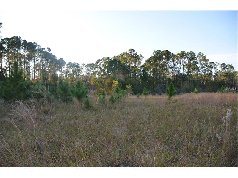 LAKE DIANA DRIVE, Deltona, FL 32738