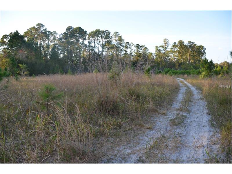 LAKE DIANA DRIVE, Deltona, FL 32738