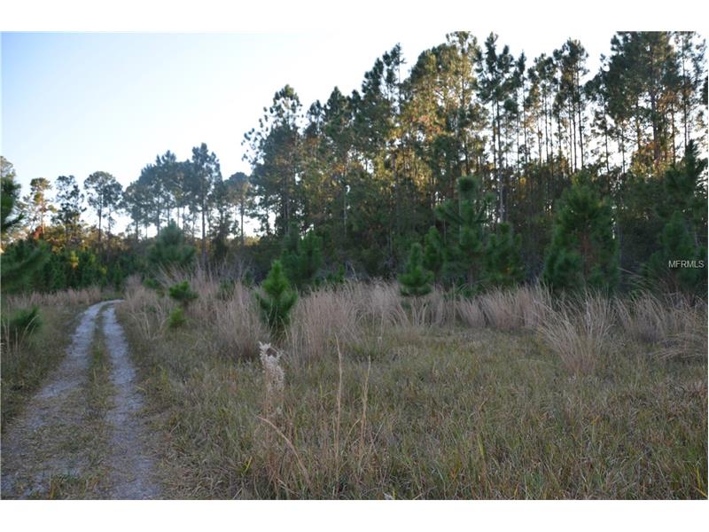 LAKE DIANA DRIVE, Deltona, FL 32738