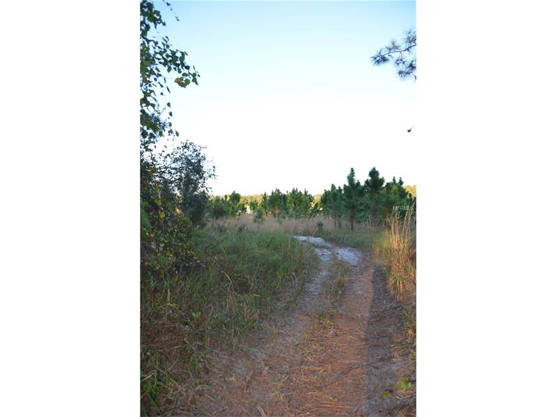 LAKE DIANA DRIVE, Deltona, FL 32738