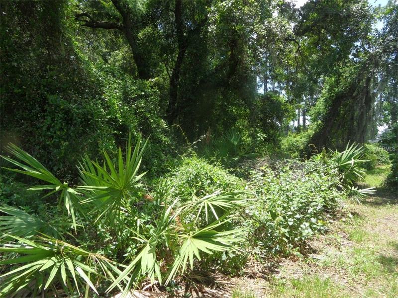 2145 MONTECITO AVENUE, Deltona, FL 32738