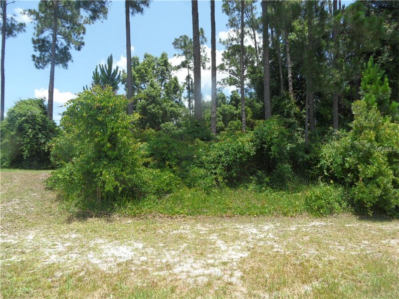 2145 MONTECITO AVENUE, Deltona, FL 32738