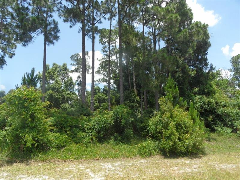 2145 MONTECITO AVENUE, Deltona, FL 32738