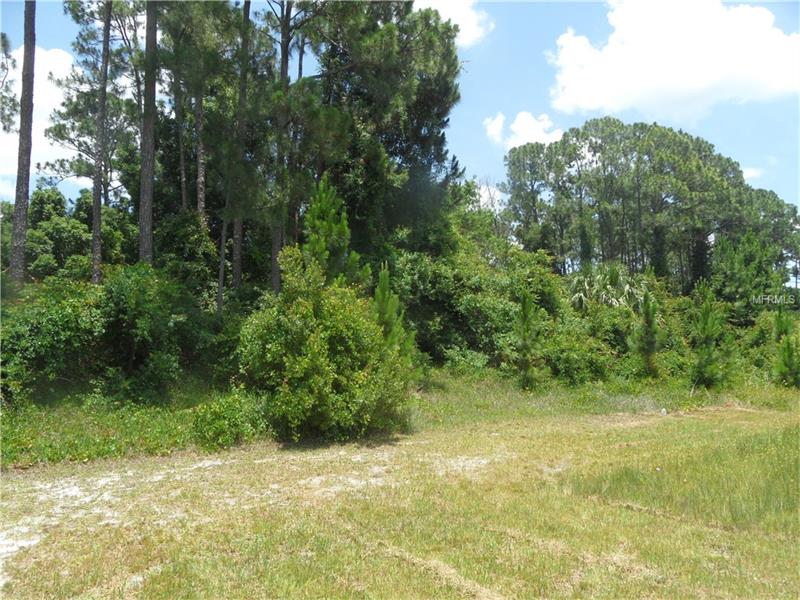 2145 MONTECITO AVENUE, Deltona, FL 32738