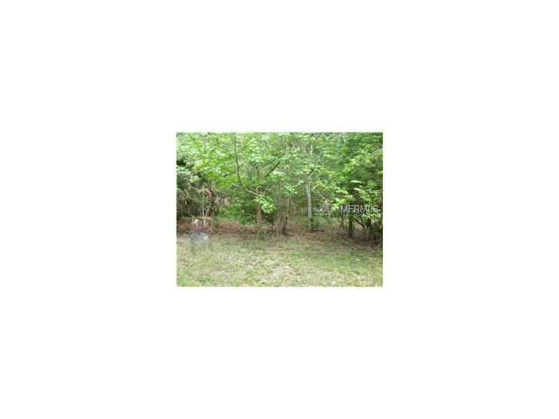 119 HIBISCUS LANE, Deltona, FL 32738