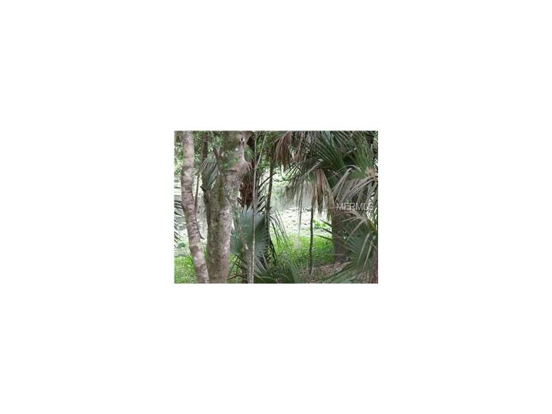 119 HIBISCUS LANE, Deltona, FL 32738