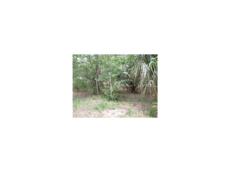 119 HIBISCUS LANE, Deltona, FL 32738