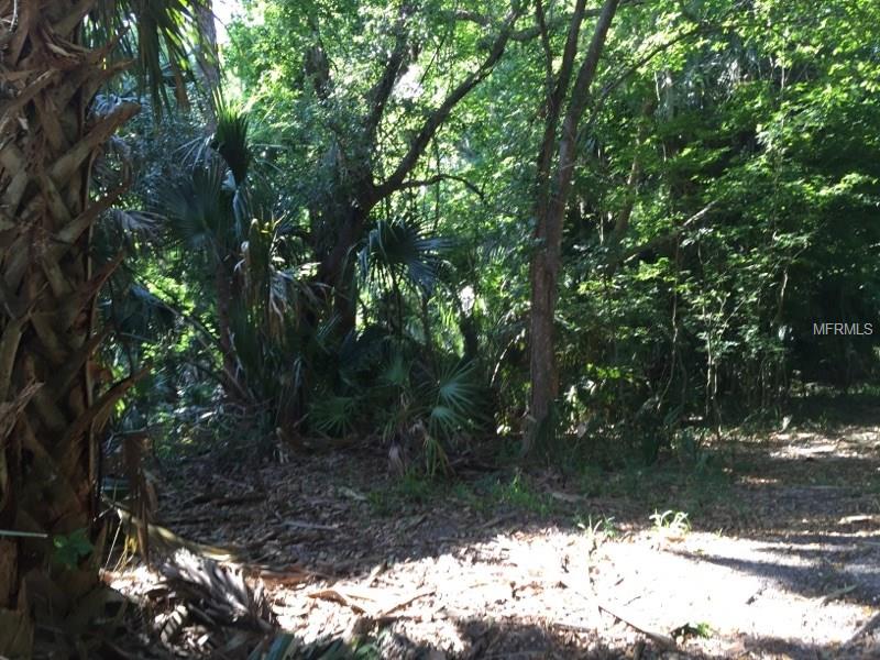 HIBISCUS LANE, Deltona, FL 32738