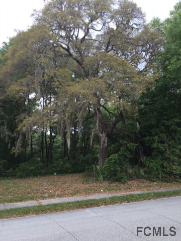 0 Church St, Lake Helen, FL 32744