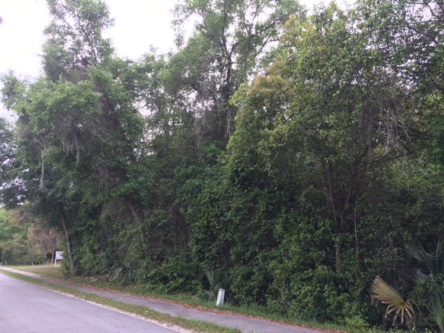 0 Church St, Lake Helen, FL 32744