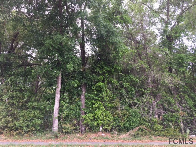 0 Church St, Lake Helen, FL 32744