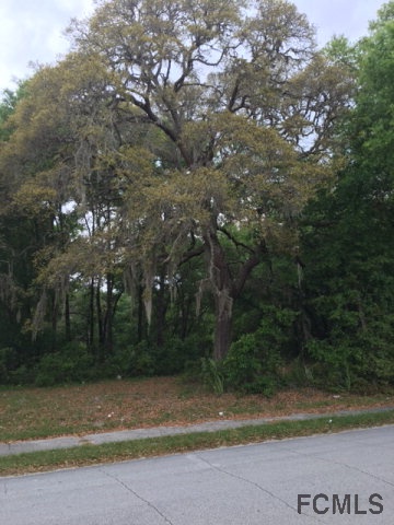 0 Church St, Lake Helen, FL 32744
