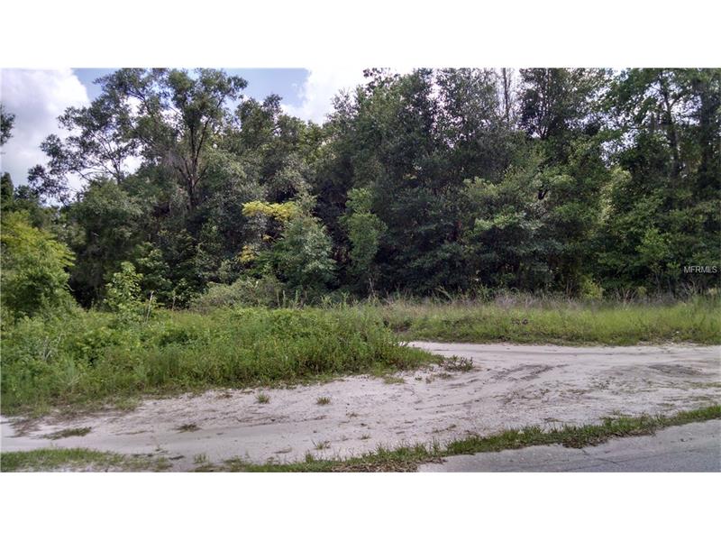 503 W OHIO AVENUE, Lake Helen, FL 32744