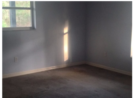 10291 Epiphyte RdMims, FL, 32754Volusia County