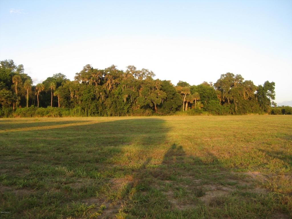 0000 Dixie Way, Mims, FL 32754