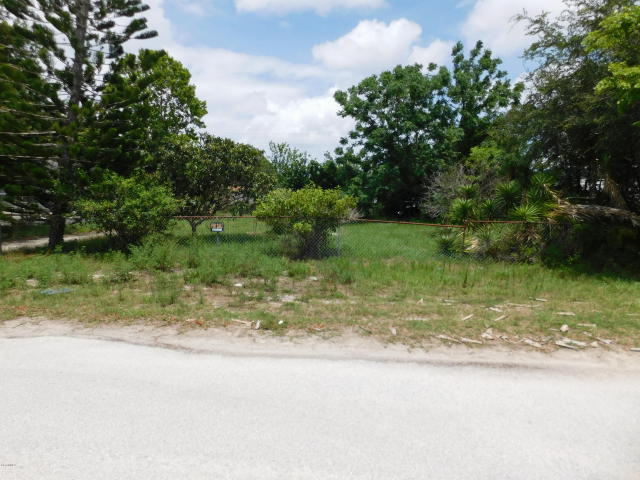 3223 Nab Street, Mims, FL 32754