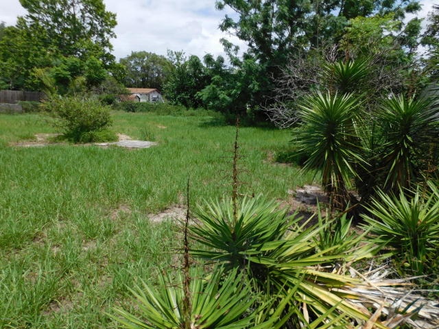 3223 Nab Street, Mims, FL 32754