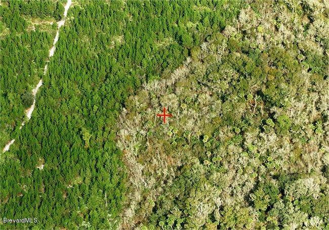 00000 No Access W Of Meadow Green Road, Mims, FL 32754
