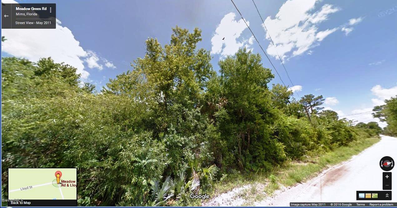 00000 No Access W Of Meadow Green Road, Mims, FL 32754
