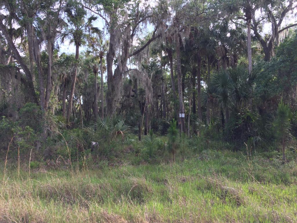 0 Freedom Rd, Mims, FL 32754