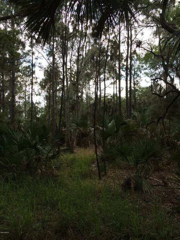 0 Freedom Rd, Mims, FL 32754