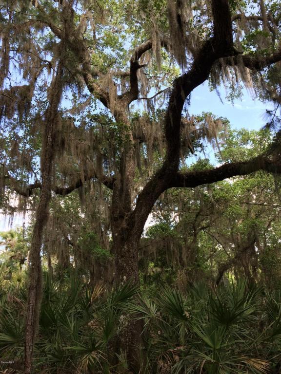 0 Freedom Rd, Mims, FL 32754
