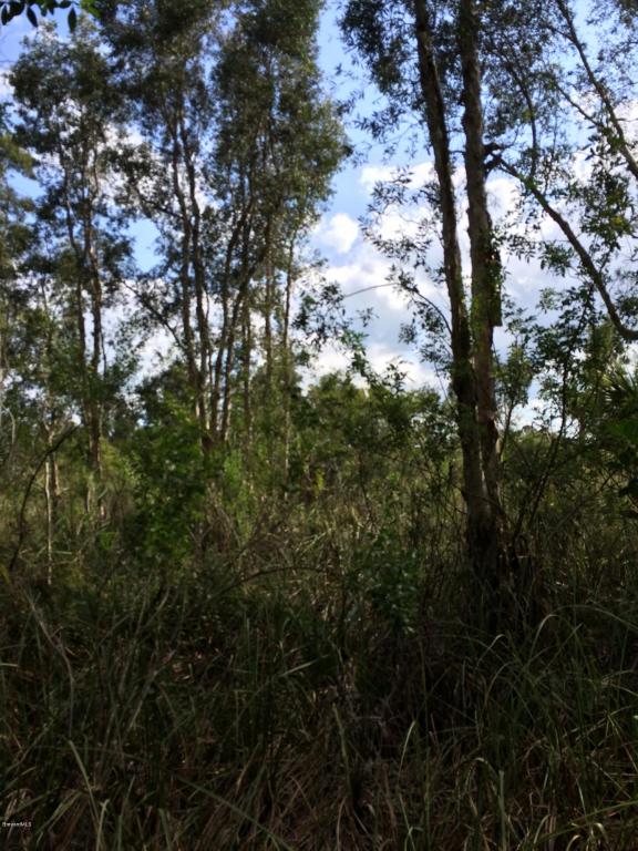 0 Freedom Rd, Mims, FL 32754
