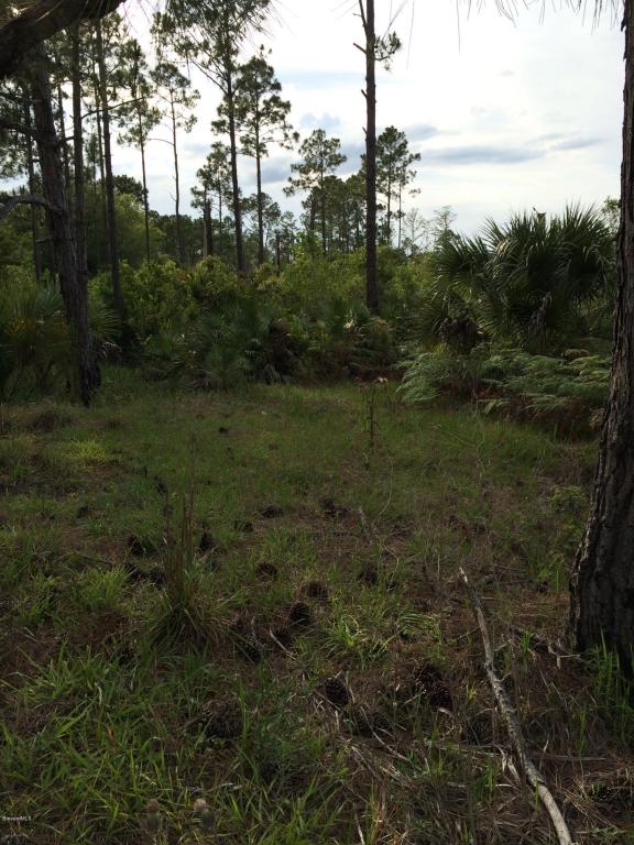 10141 Blackberry Rd, Mims, FL 32754
