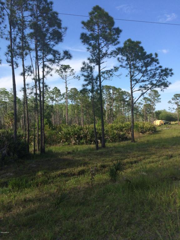 10141 Blackberry Rd, Mims, FL 32754