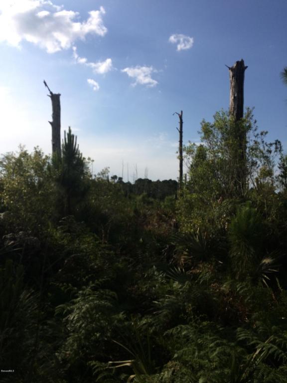 10141 Blackberry Rd, Mims, FL 32754