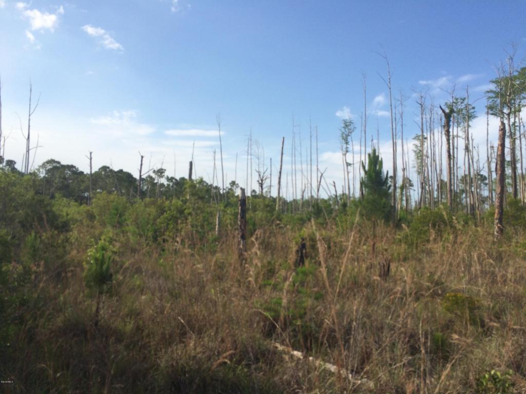 10141 Blackberry Rd, Mims, FL 32754
