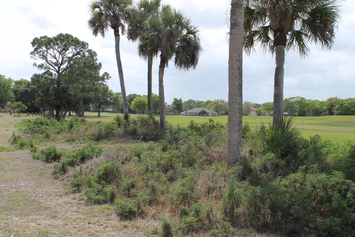 0 Dixie Way, Mims, FL 32754