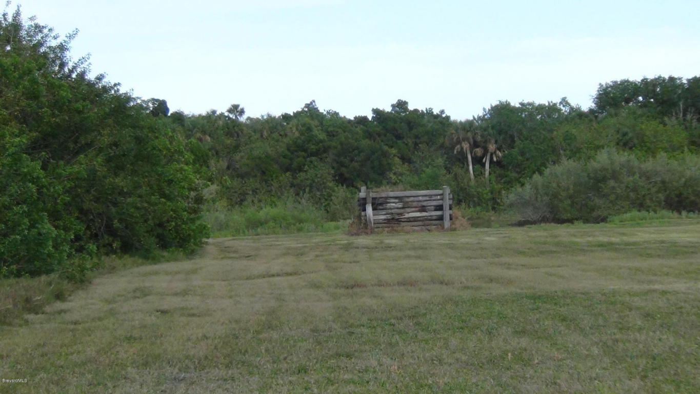 3305 Hammock Road, Mims, FL 32754