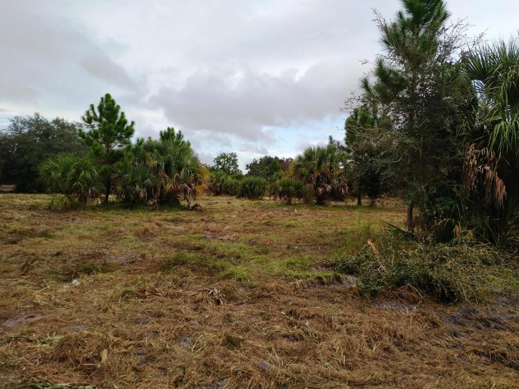 0000 46 Highway, Mims, FL 32754