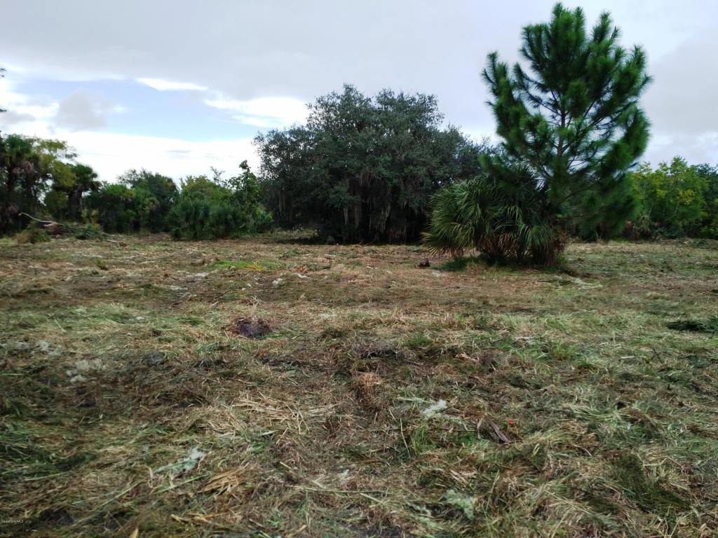 0000 46 Highway, Mims, FL 32754