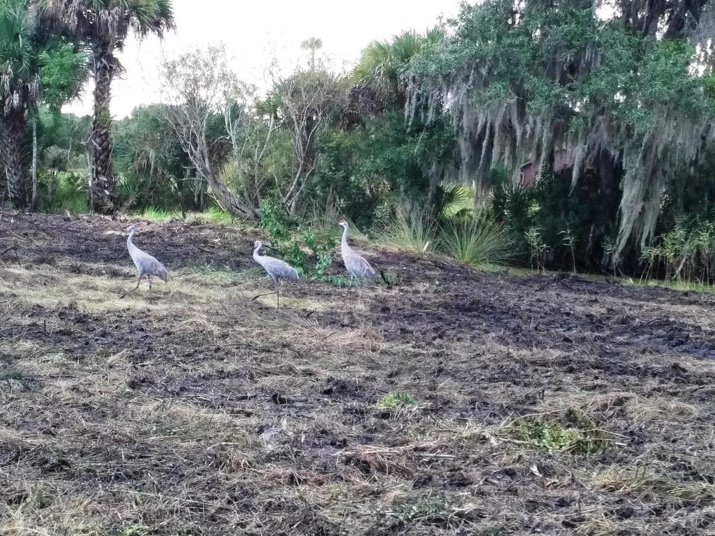 0000 46 Highway, Mims, FL 32754