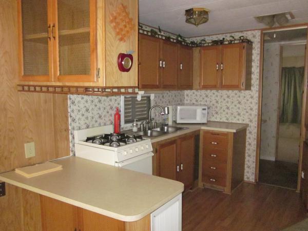 84 LONG SPINE TRAIL ,FL, Mount Dora, 32757