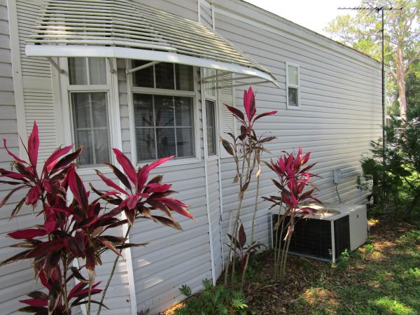 90 LONG SPINE TRAIL ,FL, Mount Dora, 32757