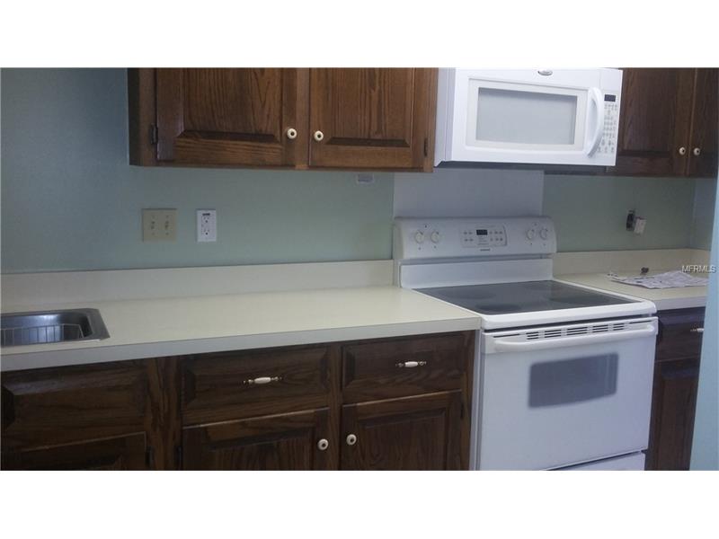 304 W US HWY 441 AVENUE, Mount Dora, FL 32757