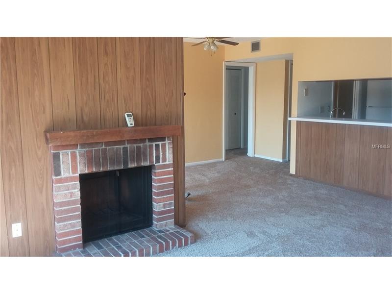 1051 S HIGHLAND STREET, Mount Dora, FL 32757