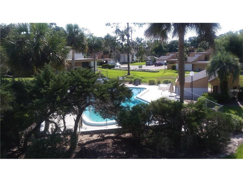 1051 S HIGHLAND STREET, Mount Dora, FL 32757