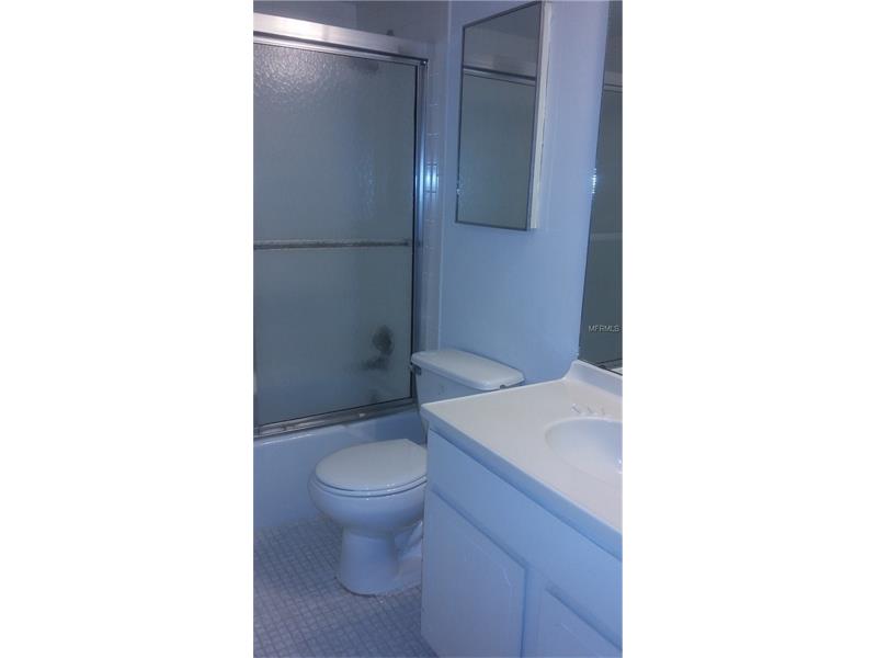 1051 S HIGHLAND STREET, Mount Dora, FL 32757