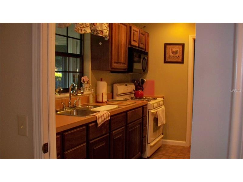 1565 MORNINGSIDE DRIVE, Mount Dora, FL 32757