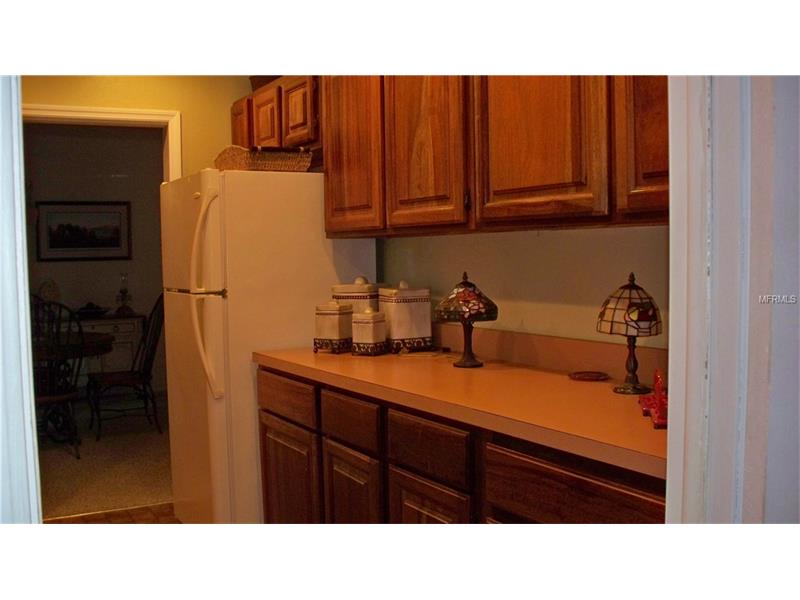 1565 MORNINGSIDE DRIVE, Mount Dora, FL 32757